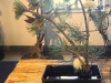 DSCN0715.JPG