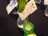 DSCN0727.JPG