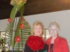 DSCN0732.JPG