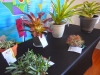 DSCN0733.JPG