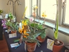 DSCN0736.JPG