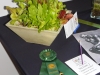 DSCN0737.JPG