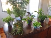 DSCN0738.JPG