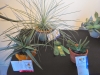 DSCN0740.JPG