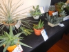 DSCN0741.JPG