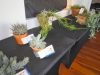 DSCN0742.JPG