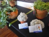 DSCN0743.JPG
