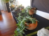 DSCN0744.JPG