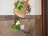DSCN0747.JPG