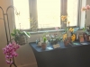 DSCN0748.JPG