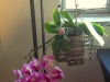 DSCN0749.JPG