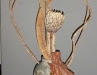 P1030333