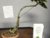 P1030371