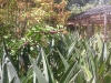 20170818_123431