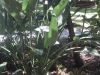 20170818_124650