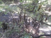 20170818_125328