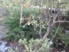 Dry bed, not so dry...