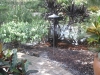 Standing water in garden