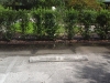 Standing water